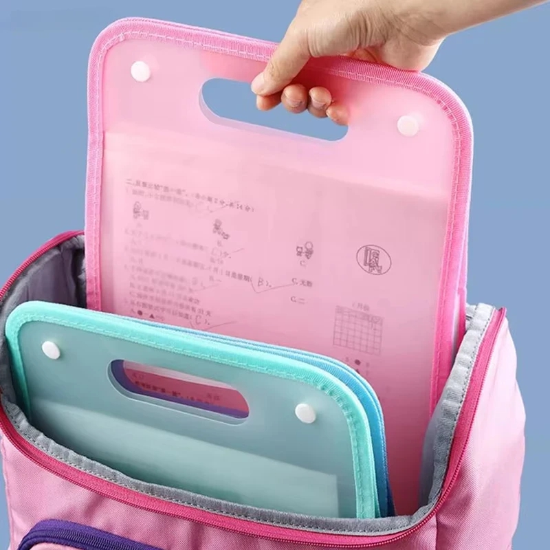 13-Pocket A4 Accordion File Or - Expandable Accordion File Folder 13 Pockets 评论和价格